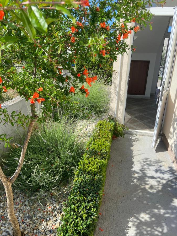 Apartman Danijela Водице Екстер'єр фото